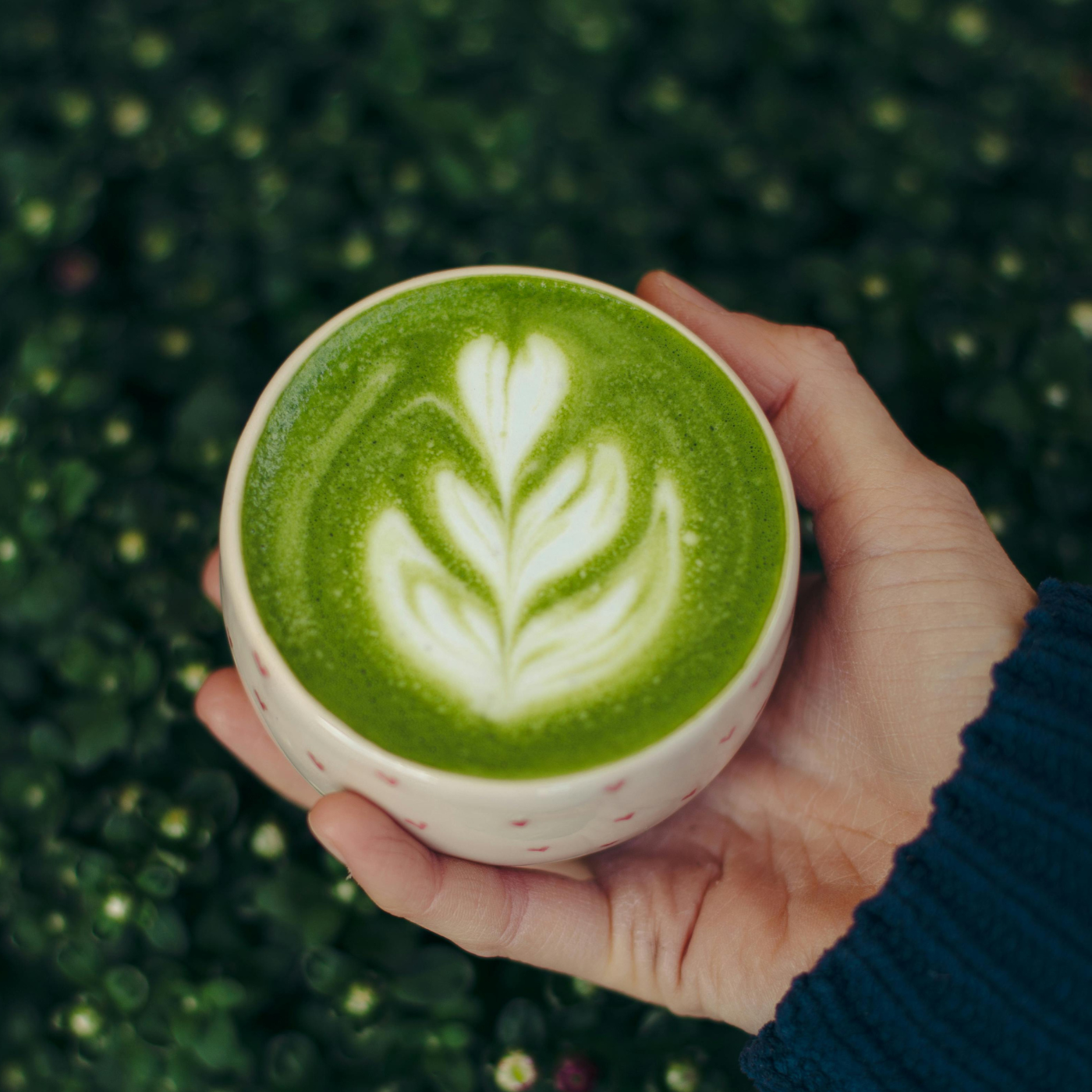 ¿Por qué el matcha es considerado un superalimento?