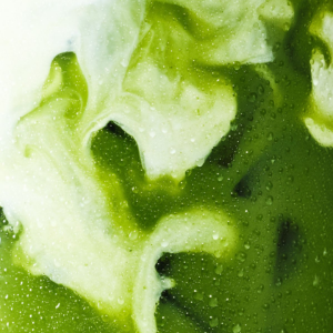Mejor matcha para principiantes: cuál elegir sin equivocarte